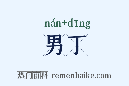 男丁是什么意思的图片